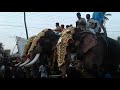 KERALA ELEPHANTS:കുട്ടന്കുളങ്ങര അർജുനൻ, പുതുപ്പള്ളി  കേശവൻ, മംഗലാംകുന്ന്  അയ്യപ്പൻ