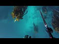 Spearfishing millers point south africa 26 march 2021