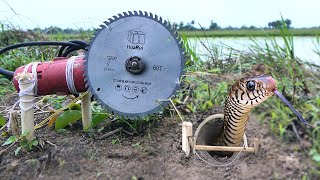 Primitive technology - Easy Snake Trap Using​ Wood Cutting Tools Catch Big Snake in Hole#snaketrap