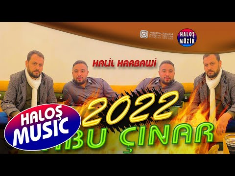 Havvana Şarkısı - Halil el Harbavi 2022 دبكات