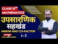 Minor or SubDeterminants & Co-factor Class 12th Maths L- 3