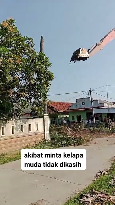 story'WA operator Indonesia #videiviral #viralvideo #alatberat #excavator #shortvideo