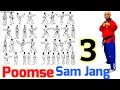 Taekwondo Poomse 3 Taegeuk Sam Jang البومسي الثالث صام جانغ مع أسماء الحركات صوت وصوره 