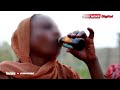 TAZAMA HIZI HAPA NDIO DAWA 4 ZA KIKOHOZI ZILIZOPIGWA MARUFUKU NIGERIA 