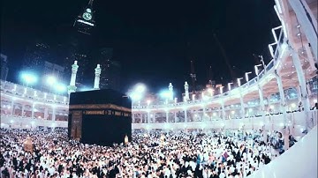 الشيخ احمد كاسب سورة النمل