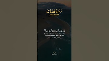 surah fussilat سوره فصلت       sheikh_mahir_al_muaiqly
