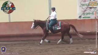 Squadre 2024 - Sofia Di Giacomo & Gd Snap Gun Score 141