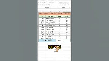Cách tính tổng chuyên nghiệp trong excel