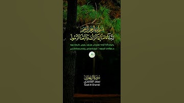 سورة آل عمران  " الآية  53 "  🕋 #اكسبلور #الرحمن