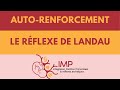 Le rflexe de landau  auto renforcement  intgration motrice primordiale imp