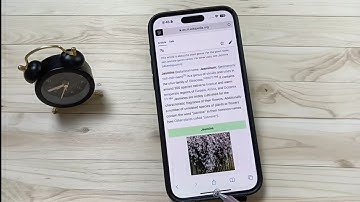 iPhone 16/16 Pro Max - How to Move Safari Address/Search Bar to Top on iPhone 16/16 Pro Max