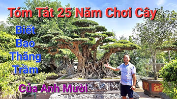 LỊCH SỬ NGƯỜI NỔI TIẾNG ! Tóm tắt 25 NĂM CHƠI CÂY biết bao nhiêu thăng trầm của Anh MƯỜI Thường Tín.