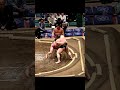炎鵬VS白鷹山！2026年大相撲5月場所