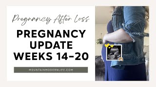 Second Trimester Pregnancy Update: Weeks 14-20 | Anatomy Scan