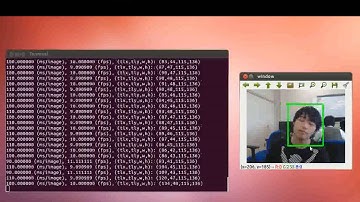 Robust Visual Tracking via Coupled Randomness