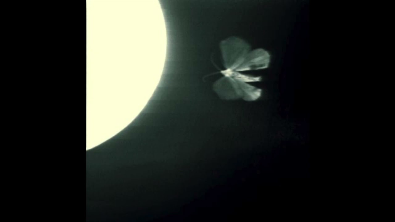 *FREE* sad grunge x heavy shoegaze type instrumental - 