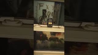 Baofeng Morse code #baofeng #shtf #morsecode #homesteading #radio #homestead  @CoryRandomGuy