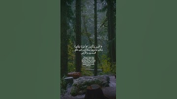📖 Surah Ali ‘Imran 190 192 سورة آل عمران  🎙️Omar bn Diaa Aldeen عمر بن ضياء الدين   @عمر بن ضياء ا