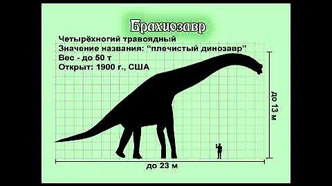 Занимательные уроки с 