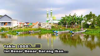 Download Lagu IKAN MILYARAN...!!! SETIAP LEMPAR UMPAN, JADI IKAN... #mancing #fisherman MP3 Download Lagu IKAN MILYARAN...!!! SETIAP LEMPAR UMPAN, JADI IKAN... #mancing #fisherman MP3