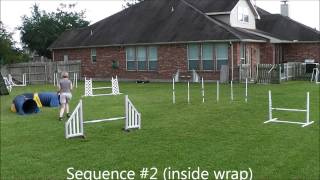 Contrasting Sequences