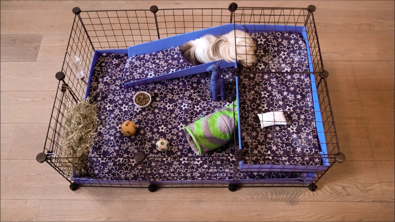c and c cage with lid