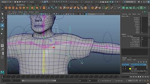 Autodesk Maya: Connecting the Upper Body Controls