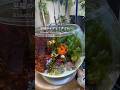 至福のもぐもぐタイム／Blissful Munching Time