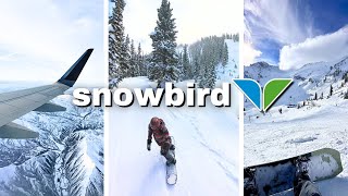 My $931 Snowbird Travel Experience | First Time Out West!