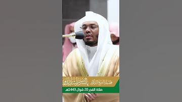 وأما إن كان من المكذبين الضالين ~ تلاوة بتحبير خاشع للشيخ ياسر الدوسري - التلاوة كاملة بالوصف