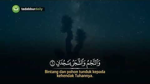 سورة الرحمن 1-65 مع تكرار للحفظ |
