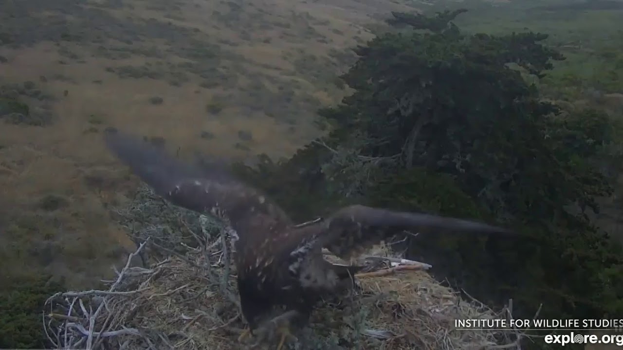 7619 Sauces Canyon Jak & Kai Visit YouTube