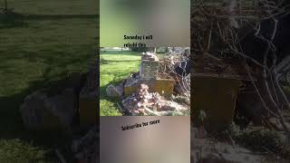 Thats one fine looking BBQ Pit #simpsons #funny #fyp #foryou #meme #scream #fail #foryou #fypシ゚viral