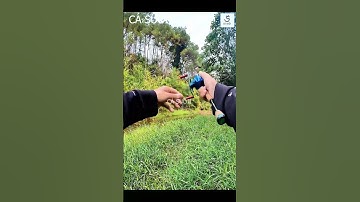 Cứ đang câu mà có điện thoại là có cá cắn #fishing #casuoii