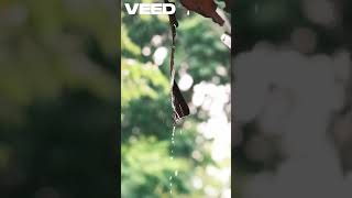 Sự thật đằng sau “mùi mưa” (petrichor) #tongsangtv #tstv #shorts