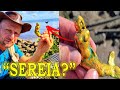 Achei uma SEREIA e peças de OURO - Será um TESOURO PIRATA??