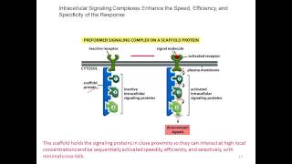 L14v01 signaling intro partB