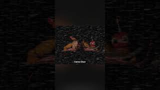 Toy Chica Death Screen #fnaf #fivenightsatfreddys #fnafanimation