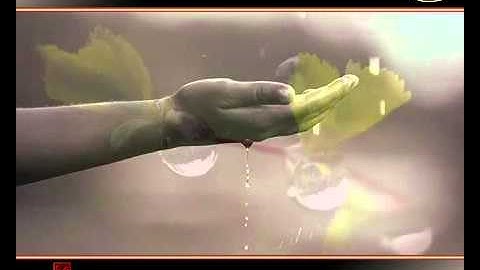 CON MẮT CÒN LẠI - Elvis Phương