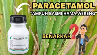 Paracetamol Sangat Ampuh Basmi Hama Tanaman, Benarkah?