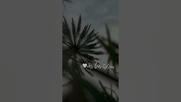 قرآن كريم بصوت القارئ عبد الرحمن العمري