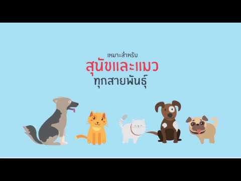 วีดีโอ: Pro-Pet Recalls Select อาหารสุนัขและแมวแห้ง