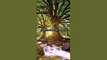 اللهم اجعل صباحاً يحمل بشائر خيرك #صباح_الخير #اكسبلور #قران#اذكار_الصباح