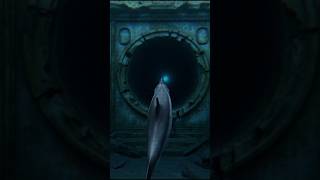 Dolphin GoPro Discovers Atlantis Ruins No Human Has Ever Seen😇#Atlantis #OceanMystery #DolphinPOV #