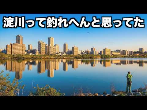 デスリバー淀川も時には微笑みますのサムネイル