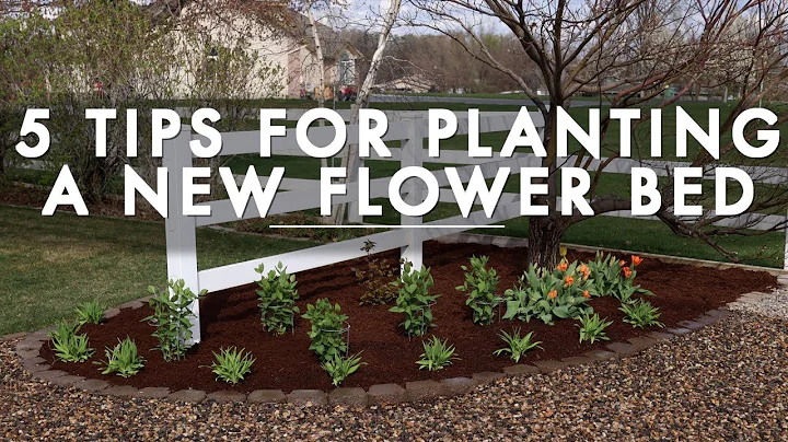 5 Tips for Planting a New Flower Bed // Garden Answer - DayDayNews