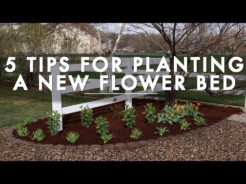 Video: Ronde bloembedideeën - Een cirkelvormig bloembed planten