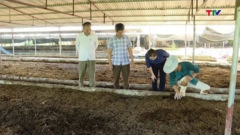 Mô hình nông dân xử lý rác thải nông nghiệp| NSTH