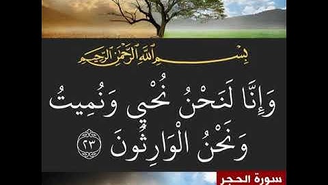 مقام السيكا آية مؤثرة من سورة الحجر للقارئ علي هوبي