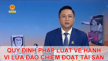 NHỮNG QUY ĐỊNH PHÁP LUẬT VỀ HÀNH VI LỪA ĐẢO CHIẾM ĐOẠT TÀI SẢN | TƯ VẤN TRỰC TUYẾN